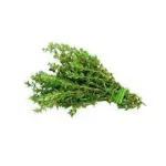 Jamaican Thyme