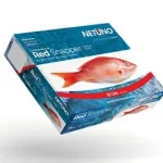 Netuno Caribbean Red Snapper