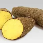 Jamaican Organic Yellow Yam